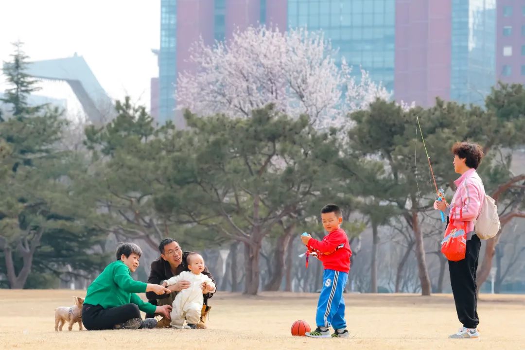 微信图片_20241129092519.jpg