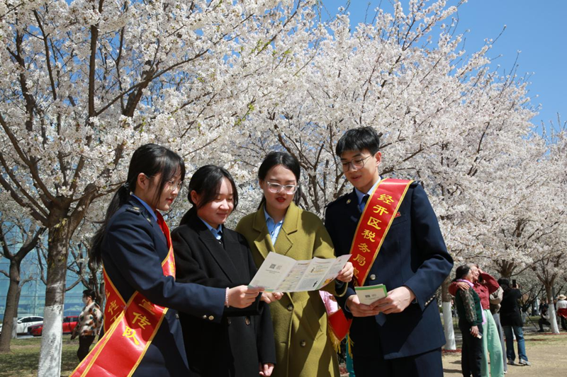 税务干部在泰达城市公园樱花大道为游客作政策解读。天津经开区税务局供图